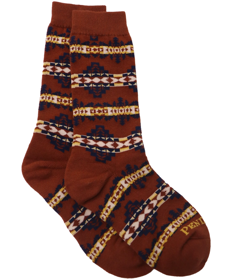 Pair of brown socks with pattern on a white background