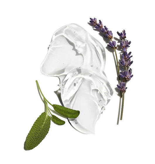 Ingredients that can be found in Jack Black Shave Cooling Gel, such as lavender and mint, on a white background