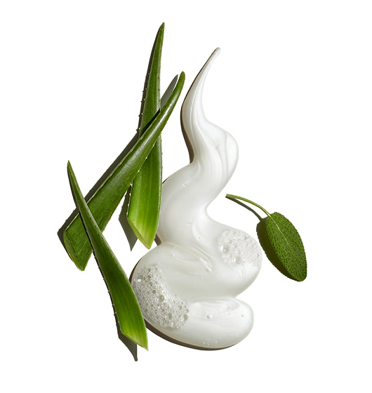 Ingredients included in Jack Black Pure Clean Daily Facial Cleanser, such as aloe vera.