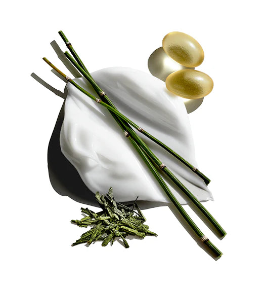 A collection of ingredients that can be found in Jack Black Protein Booster Eye Rescue on a white background.