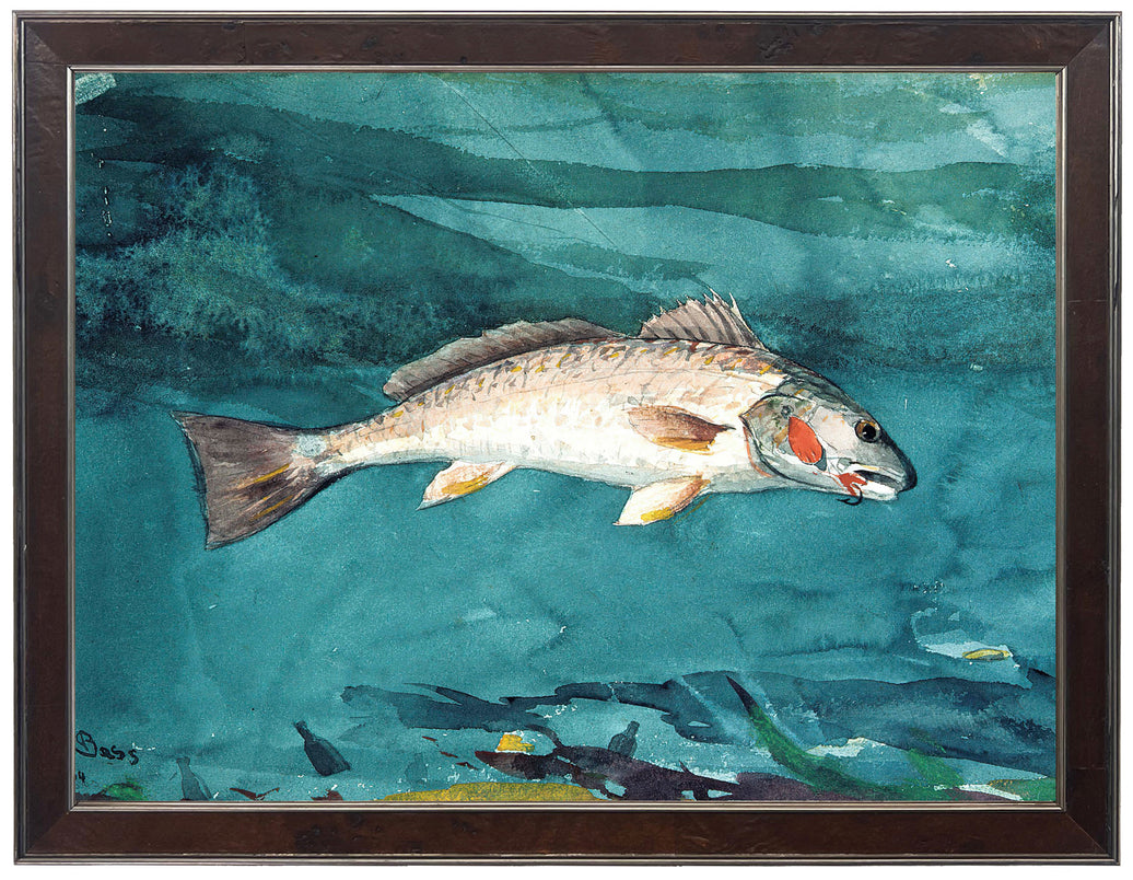 Vintage Bass | Vintage Watercolor Bass