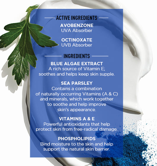 An infographic for Jack Black Double Duty Face Moisturizer with SPF 20 describing the active and inactive ingredients and their benefits.