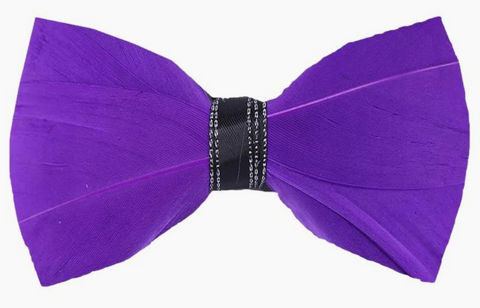 Handmade Purple Feather Bow Tie & Lapel Pin