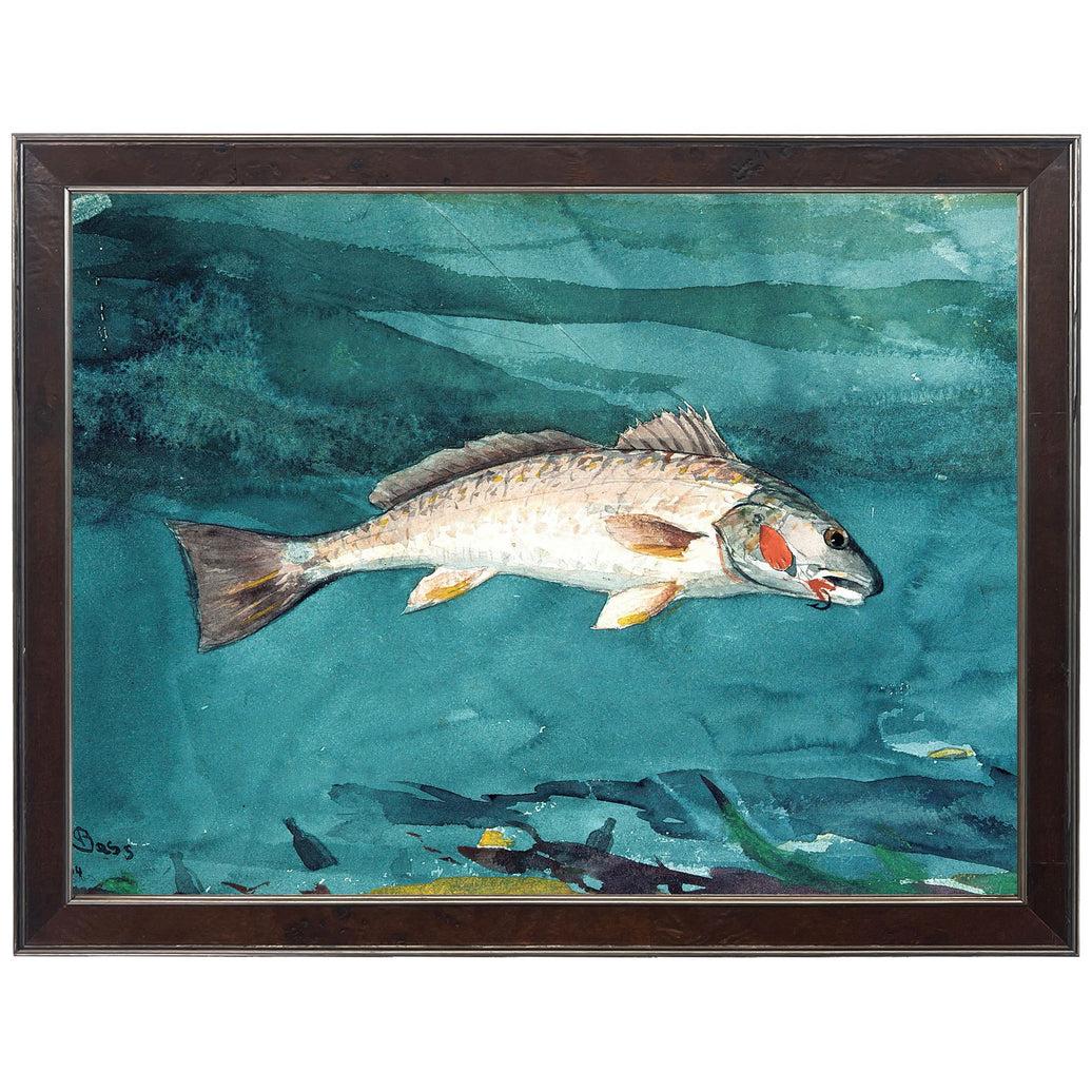 Framed painting of a fish on a teal background