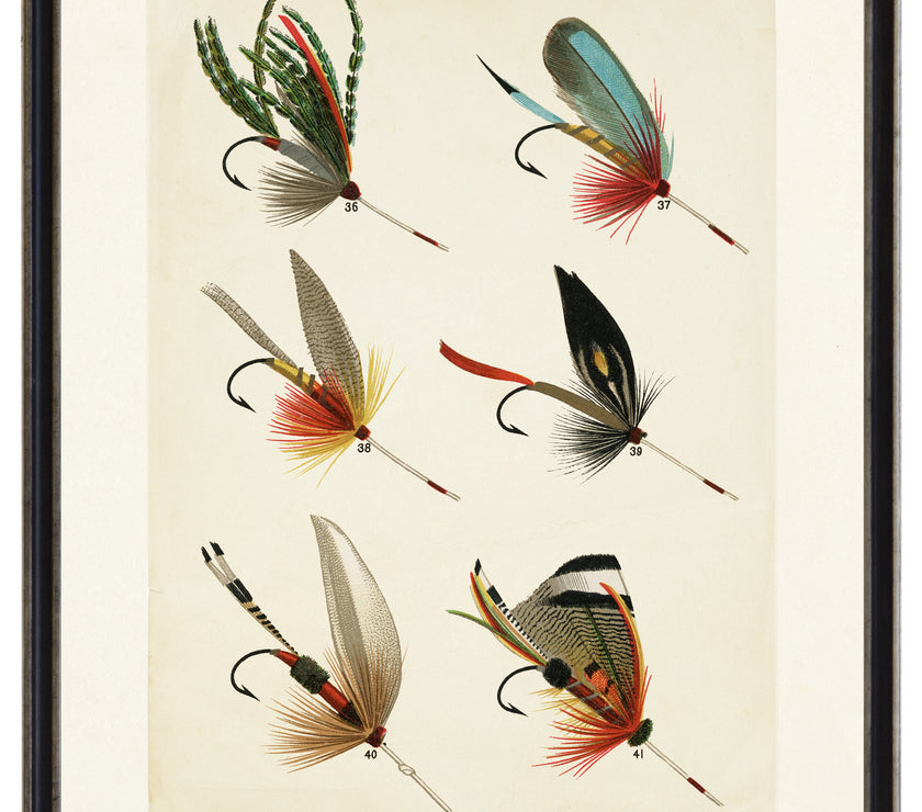 Lake Fishing Flies | Bookplate