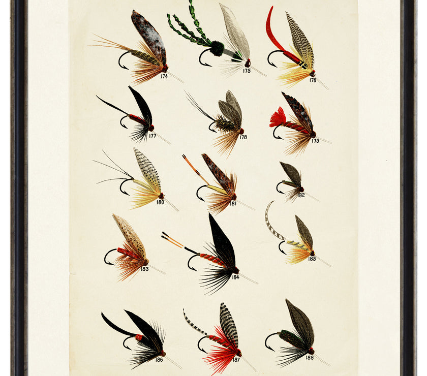 Trout Flies | Bookplate
