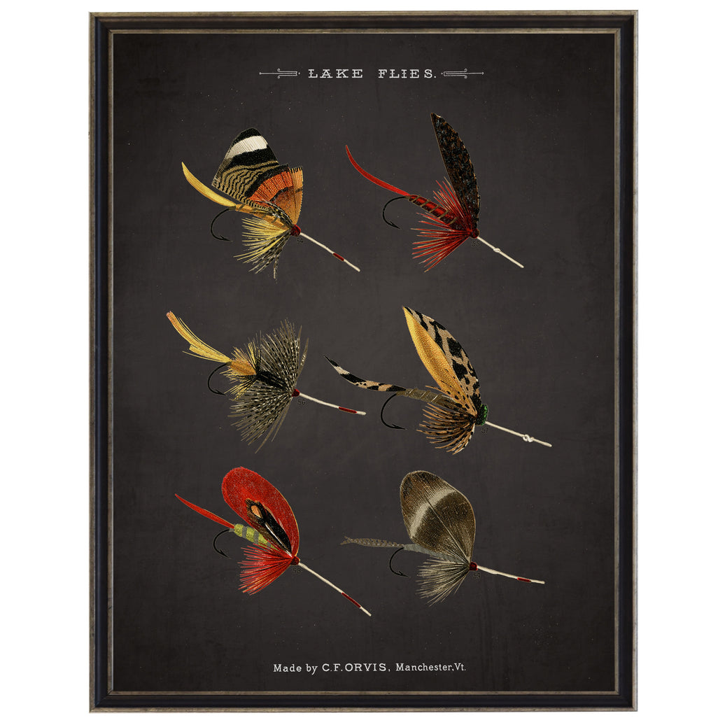 Lake Fishing Flies On Black Background | Bookplate Art Print