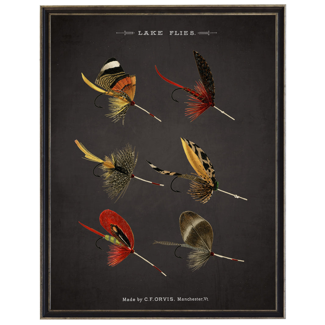 Lake Fishing Flies On Black Background | Bookplate Art Print