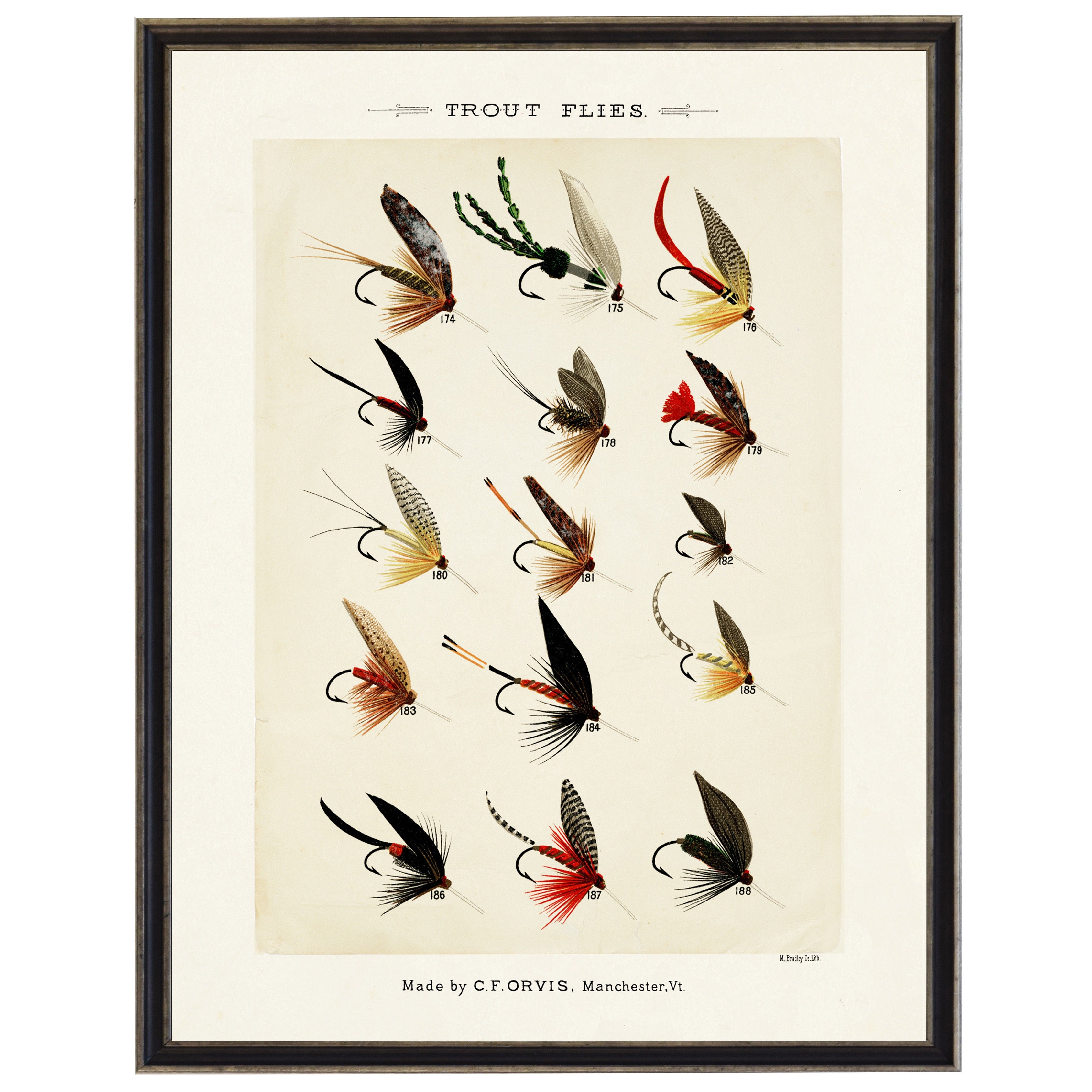 Illustration of various trout flies on a beige background with a black frame.