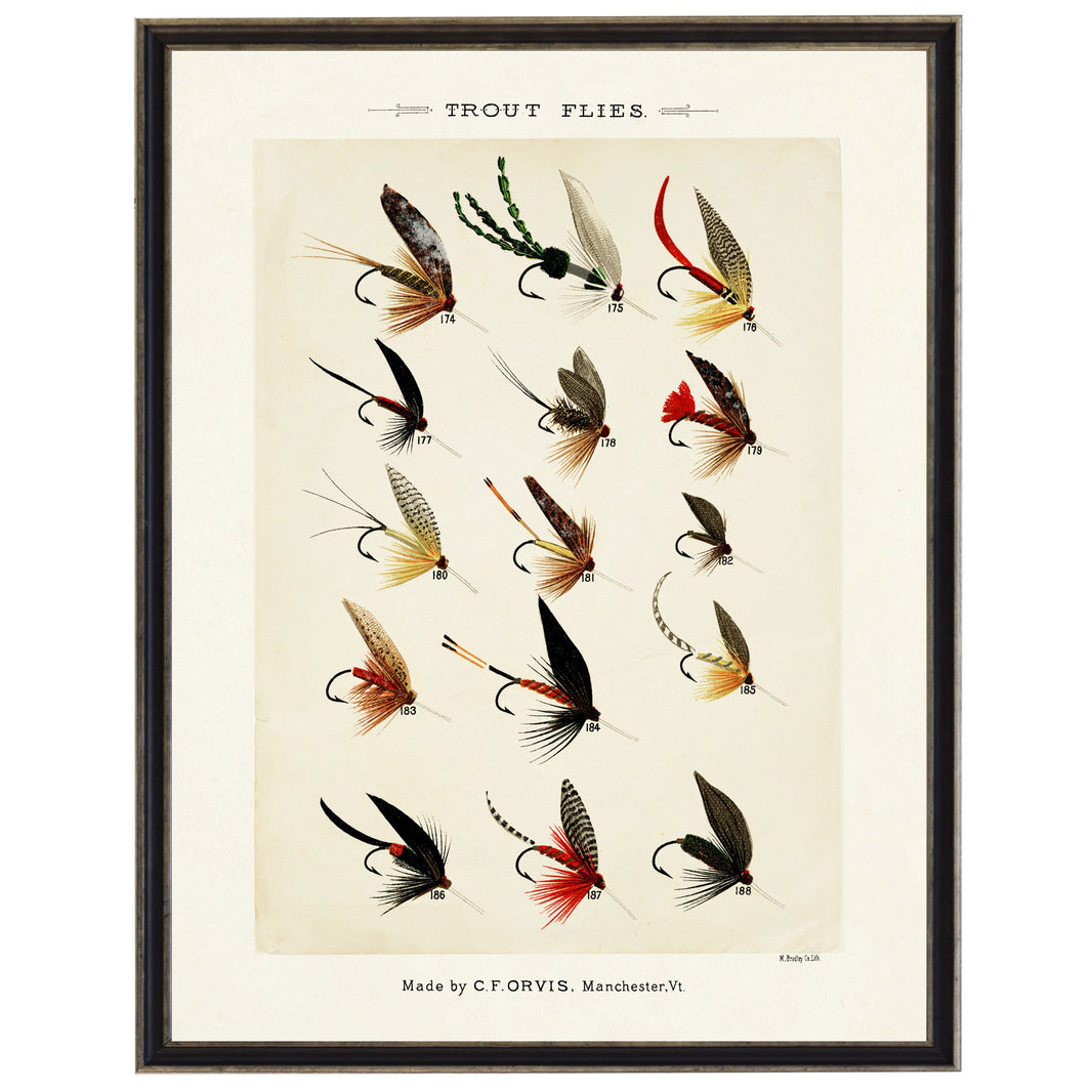 Illustration of various trout flies on a beige background with a black frame.