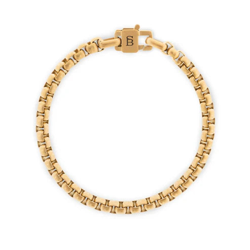 Gold bracelet with a clasp on a white background