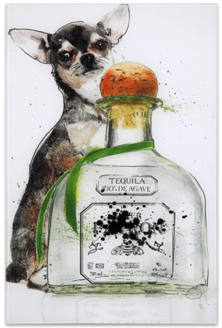 "Viva Mexico" Frameless Free Floating Tempered Art Glass